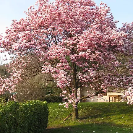 Rusall's Armeno