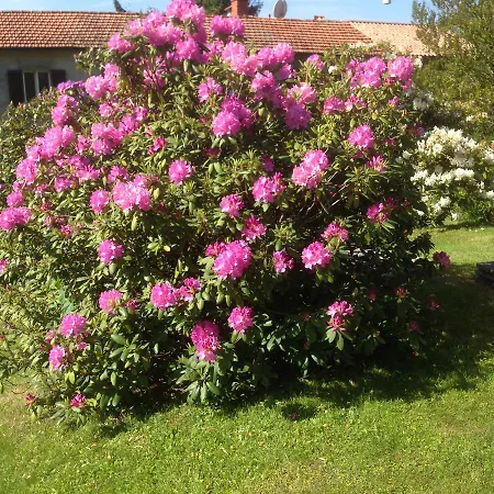 Rusall's Bed & Breakfast Armeno